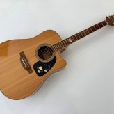 Takamine EG50th Anniversary 2012