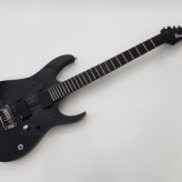 Ibanez RGIT20FE 2015 TGF