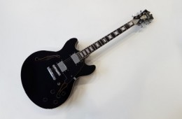 D’Angelico Premier DC Ebony