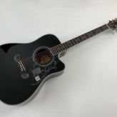 Epiphone Dave Navarro Jane 2017