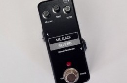 Mr. Black Mini Reverb Universal