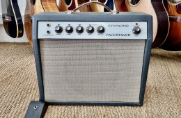 Epiphone EA-50T Pacemaker 1965