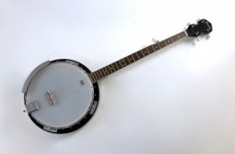 Tennessee Banjo Bluegrass 5 cordes
