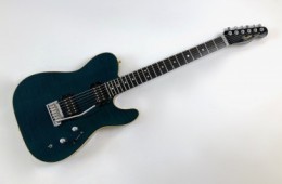 Fender Telecaster Set Neck 1991