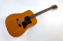 Gibson Gospel AV 1994 Natural