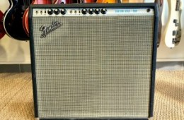 Fender Bantam Bass Amp 1971 Silverface