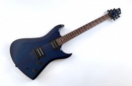 Washburn DD81 Maya Dan Donegan