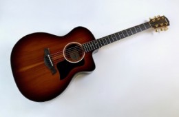 Taylor 224ce-K DLX Shaded Edgeburst