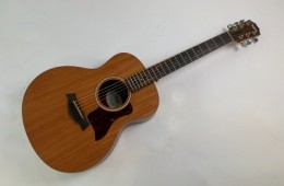 Taylor GS Mini Mahogany