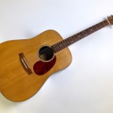 Martin DM Road Series 1999 Natural