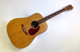 Martin DM Road Series 1999 Natural