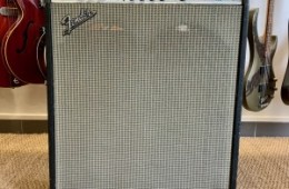 Fender Bassman Ten 1973 Silverface