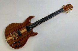 Veillette-Citron VC-CC 1980 Koa