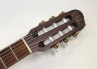Godin Multiac Nylon Duet
