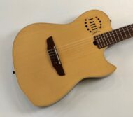 Godin Multiac Nylon Duet