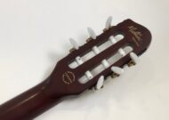 Godin Multiac Nylon Duet