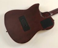 Godin Multiac Nylon Duet