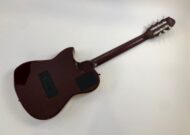 Godin Multiac Nylon Duet