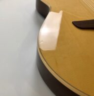 Godin Multiac Nylon Duet