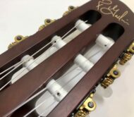 Godin Multiac Nylon Duet