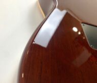 Godin Multiac Nylon Duet