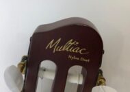 Godin Multiac Nylon Duet