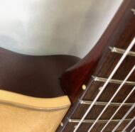 Godin Multiac Nylon Duet
