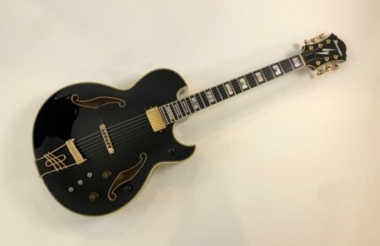 Ibanez PM100 Pat Metheny 2009