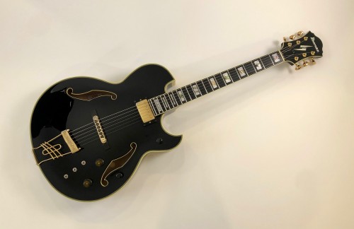 Ibanez PM100 Pat Metheny 2009 Ibanez PM100 Pat Metheny 2009