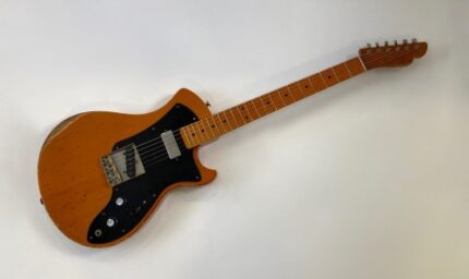 Springer Neocaster T 2022
