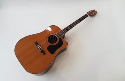 Washburn D10SCE Natural 2006