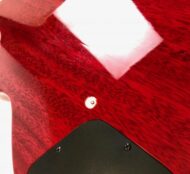 Epiphone Les Paul Slash Snakepit
