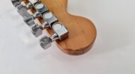 Fender Stratocaster 25th Anniversary