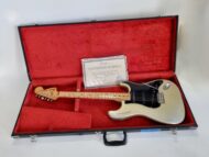 Fender Stratocaster 25th Anniversary