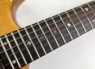 Ibanez MC300 Musician 1978