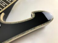 Ibanez PS120 Paul Stanley Signature