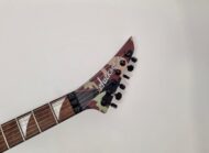 Jackson RRX24 Woodland Camo