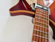 Rickenbacker 66012TP Tom Petty