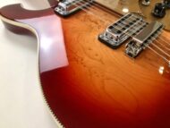 Rickenbacker 66012TP Tom Petty
