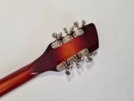 Rickenbacker 66012TP Tom Petty