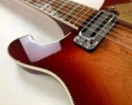 Rickenbacker 66012TP Tom Petty