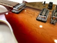 Rickenbacker 66012TP Tom Petty