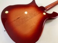 Rickenbacker 66012TP Tom Petty