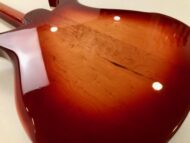Rickenbacker 66012TP Tom Petty
