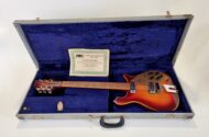 Rickenbacker 66012TP Tom Petty