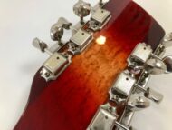 Rickenbacker 66012TP Tom Petty
