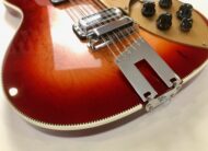 Rickenbacker 66012TP Tom Petty